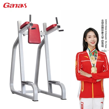Commercial Vertical Knee Raise Machine Leading China Manufacturer